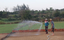 Thu hồi dự án FLC nhưng 'quên' hủy quyết định thu hồi đất: sẽ rà soát, xử lý