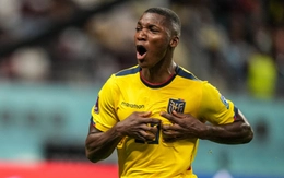 Dự đoán tỉ số World Cup: 'Siêu phòng ngự' Ecuador hòa Bờ Biển Ngà