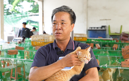 Mèo thất lạc trở về với chủ, nhiều người xúc động cảm ơn Công an TP.HCM