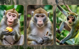 Quiz: Bạn là người ham học hỏi?