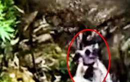 Dùng flycam truy vết, bắt nghi phạm trốn trong rừng sâu sau khi sát hại bé trai