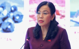 Việt Nam có thể tham gia mức độ nào vào đường sắt tốc độ cao Bắc - Nam, điện hạt nhân?