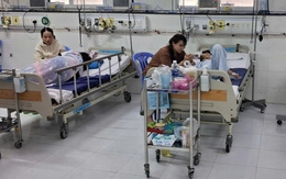 Miền Tây Nam Bộ: Sốt xuất huyết diễn biến phức tạp, nhiều nơi ca bệnh tăng cao