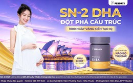 1.000 ngày vàng: Vì sao mẹ bầu nên chọn DHA dễ hấp thu cho con?