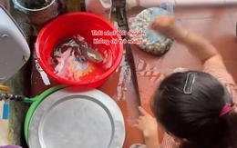 Con cá nổi quạu khi biết mình sắp bị vào nồi