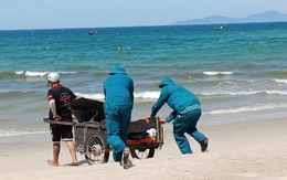 Gần 100 người tìm kiếm du khách Nga mất tích trên bãi biển Đà Nẵng