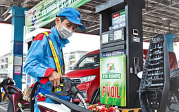 15 ngày, lượng tiêu thụ xăng E5, E10 tăng so với xăng khoáng trước đây