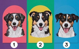 Quiz: Bạn thuộc kiểu người lãnh đạo nào?