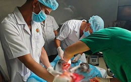 Bệnh xá Trường Sa hội chẩn với Bệnh viện Quân y 354 cứu ngư dân đứt lìa chân