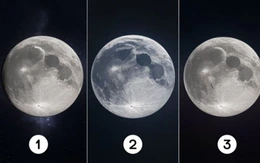 Quiz: Bạn là người có lòng đồng cảm sâu sắc?