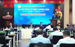 VRG đẩy mạnh khu công nghiệp và năng lượng tái tạo