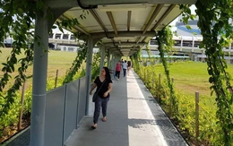 Làm mái che cho người đi bộ đến trạm xe buýt, metro