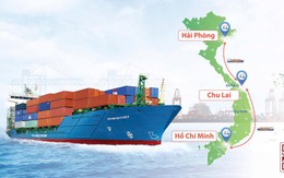 THILOGI tăng tần suất vận tải biển nội địa