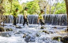 Sớm trình phương án chuyển Vườn quốc gia Cát Tiên về TP Đồng Nai quản lý