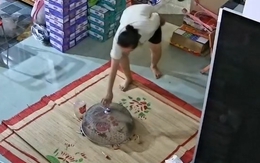 Chị gái khiến nhiều người trầm trồ với tuyệt chiêu bắt chuột bằng lồng bàn