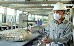 Nhập siêu lớn nhưng nhiều mặt hàng xuất khẩu nổi lên khi nhà mua hàng 'săn đón'
