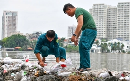 TP.HCM dự kiến vận hành phần mềm giám sát thiên tai trong tháng 9-2026
