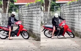 Chàng trai suýt bị rắn khủng cắn vì tưởng dễ ăn