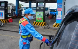 Sôi động dịch vụ 'tư vấn' xăng E10