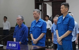 Nộp thêm 119 tỉ, cựu Tổng giám đốc 73 tuổi và dàn lãnh đạo Vicem được giảm án
