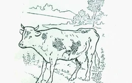 Thử tài tinh mắt: Cô gái vắt sữa bò ở đâu?