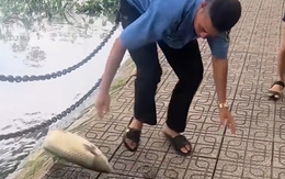 Anh bảo vệ không 'bắt cá hai tay' bao giờ
