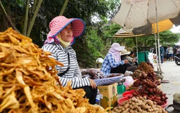 Độc đáo ‘chợ mây’ trên đỉnh núi Cấm