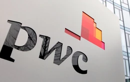 Thêm 'Big 4' dính lùm xùm chất lượng: Đình chỉ tư cách kiểm toán viên PwC vì hồ sơ Thép Nam Kim