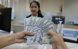 Lạm phát và nhập siêu thử sức doanh nghiệp: Ai có lợi thế chống chịu?