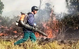 40 giờ quân dân cùng ngăn 'giặc lửa' giữ rừng
