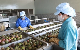 Tiếp sức nông sản Việt vươn xa