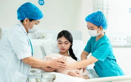 Lần đầu đề xuất bộ tiêu chí riêng cho trường đào tạo y dược, luật