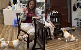 Chú chó đạt 100 điểm kỹ năng giao tiếp