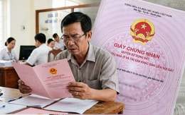 Nghĩ 'đất nhà mình làm gì làm' nhưng hành động này có thể bị phạt đến hàng chục triệu đồng