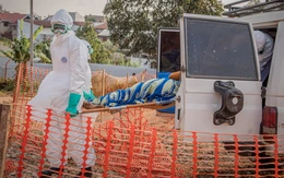 Pháp ghi nhận ca mắc Ebola đầu tiên, là bác sĩ trở về từ Congo