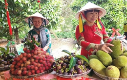 'Đánh thức' tiềm năng du lịch cộng đồng ven sông Sài Gòn