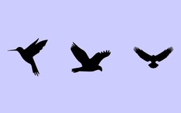Quiz: Triết lý sống của bạn là gì?