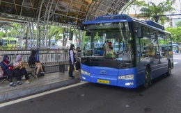 Cận cảnh dàn xe buýt tiện nghi, hiện đại trước ngày TP.HCM miễn phí vé cho người dân