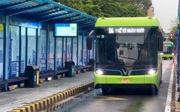 TP.HCM miễn phí vé 134 tuyến xe buýt từ ngày 1-7: Ngắm dàn xe tiện nghi, hiện đại đang hoạt động