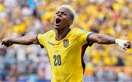 Xếp hạng World Cup 2026: 3 đội bảng E cùng nhau đi tiếp