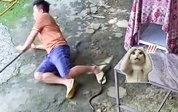 Vợ bật cười khi vô tình xem được cảnh chồng bắt 'bé Na'
