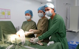 Sàng lọc miễn phí 9 bệnh trước sinh và sơ sinh