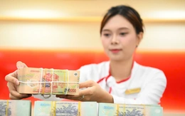 Chính phủ: Điều hành tiền gửi của Kho bạc Nhà nước để hỗ trợ vốn ngắn hạn cho nền kinh tế