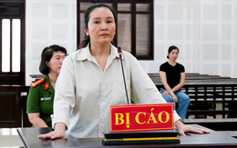 Tòa trả hồ sơ điều tra bổ sung vụ người phụ nữ ở Đà Nẵng bị cáo buộc chiếm đoạt 40,8 tỉ