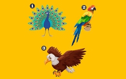 Quiz: Bạn bản lĩnh hay là người hướng ngoại?