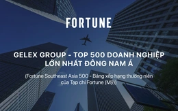 GELEX thăng hạng Top 500 doanh nghiệp lớn nhất Đông Nam Á