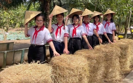 Vĩnh Long tổ chức nhiều hoạt động kỷ niệm một năm thành lập tỉnh