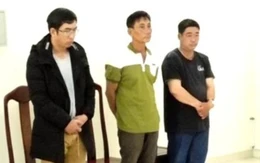 Phạt tù chuyên viên kỹ thuật điện lực để xảy ra điện giật chết người