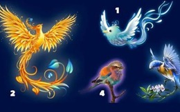 Quiz: Vận may nào đang chờ đợi bạn phía trước?