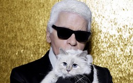 Cô mèo giàu nhất thế giới giờ ra sao sau khi Karl Lagerfeld qua đời?